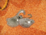 Cvičení zdravá dětská noha ve školce